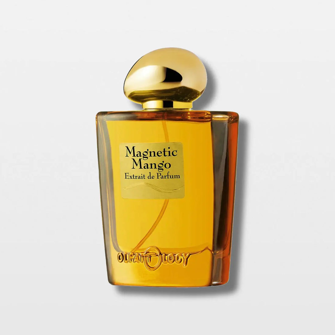 בקבוק בושם Magnetic Mango Olfattology 100ml – צילום חזית